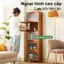 Tủ sách chống bụi cửa acrylic chống ẩm chống nấm mốc dễ lắp ráp phù hợp với phòng khách/phòng ngủ