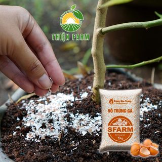 Vỏ Trứng Gà trồng cây THIỆN FARM Bao 1kg, Sfarm, phân bón hữu cơ, bổ sung canxi, cải tạo đất