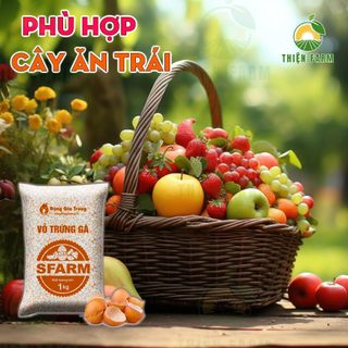 Vỏ Trứng Gà trồng cây THIỆN FARM Bao 1kg, Sfarm, phân bón hữu cơ, bổ sung canxi, cải tạo đất