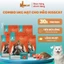 Hạt cho mèo Kisscat 30% Đạm Tiêu búi lông giúp lông bóng mượt