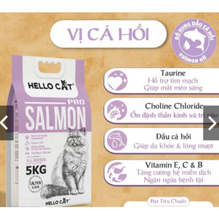 [SALMON] Hạt HELLO CAT Vị Cá Hồi Thức Ăn Khô Dành Cho Mèo Giảm Mùi Hôi Phân