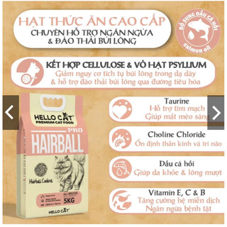 [SALMON] Hạt HELLO CAT Vị Cá Hồi Thức Ăn Khô Dành Cho Mèo Giảm Mùi Hôi Phân