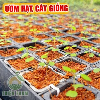 Mụn Xơ Dừa trồng cây THIỆN FARM Bao 5dm3, Sfarm, phân bón hữu cơ, giữ ẩm, cải tạo đất