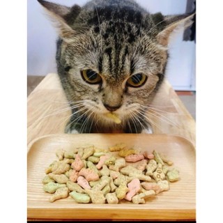 BÁNH CÁT CATNIP CHO MÈO – SNACK THƯỞNG THƠM NGON, HỖ TRỢ GIẢM STRESS CHO MỀO, HỖ TRỢ TIÊU BÚI LÔNG CHO MÈO.