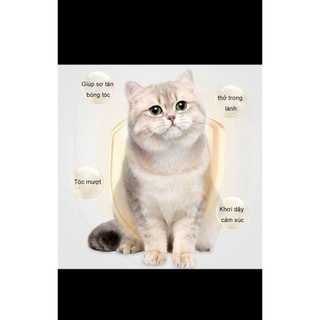 BÁNH CÁT CATNIP CHO MÈO – SNACK THƯỞNG THƠM NGON, HỖ TRỢ GIẢM STRESS CHO MỀO, HỖ TRỢ TIÊU BÚI LÔNG CHO MÈO.