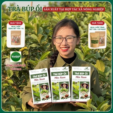 Trà Lá Ổi Non, Trà Lá Ổi Mix Lá Sen, Trà Mix 5 Vị Thảo Mộc MỘC NAM Thành Phần Tự Nhiên Nguyên Chất