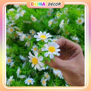 1kg Cỏ Điểm Hoa Cúc Họa Mi DUHA 012