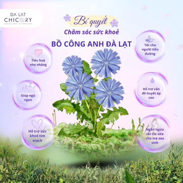 Trà bồ công anh tím Đà Lạt- Hữu cơ