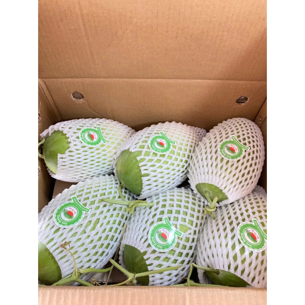 ( JENNY FRUIT ) 🥇 DƯA ĐƯỜNG NGỌT THANH MÁT CHO MÙA HÈ