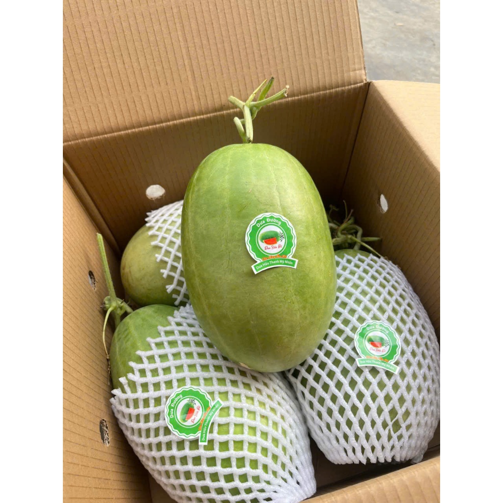 ( JENNY FRUIT ) 🥇 DƯA ĐƯỜNG NGỌT THANH MÁT CHO MÙA HÈ