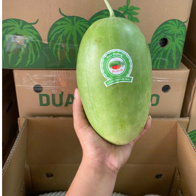 ( JENNY FRUIT ) 🥇 DƯA ĐƯỜNG NGỌT THANH MÁT CHO MÙA HÈ