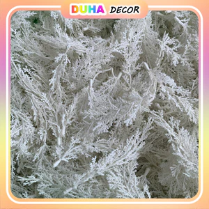 Combo 1kg Hoa Giả Cỏ tuyết Trang Trí Nhà Cửa, Decor Tiểu Cảnh, Sân Vườn, Chụp Hình DUHA 103