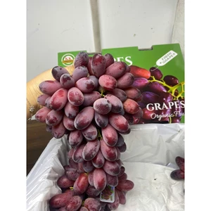 THÙNG NHO ĐỎ GIÒN NGỌT 2,4KG LUN THÙNG