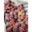 THÙNG NHO ĐỎ GIÒN NGỌT 2,4KG LUN THÙNG