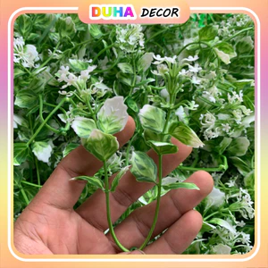 Combo 1kg Cỏ Bi Điểm Đã Nhặt Sạch Cọng Trang Trí Gói Hoa, Giỏ Quà, Làm Vòng Kỷ Yếu, Vòng Nguyệt Quế DUHA 145