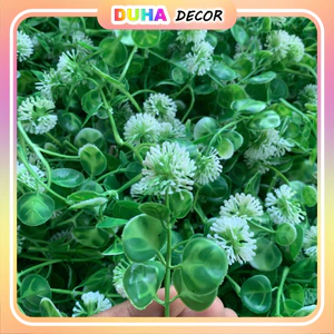 Túi 100g Cành Táo Hoa Trắng Cúc Họa Mi Cỏ Điểm Nhặt Sạch DUHA 148