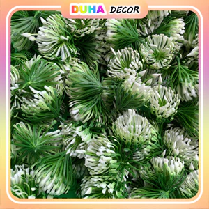 Combo 500g Cỏ Điểm Cỏ Thông Đã Nhặt Sạch Các Mẫu DUHA 150