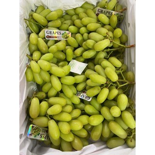 ( HỎA TỐC ) THÙNG NHO XANH TRÁI DÀI 4KG– GIÒN RỤM, NGỌT THANH, ĂN LÀ MÊ