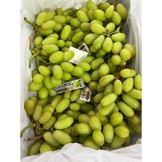 ( HỎA TỐC ) THÙNG NHO XANH TRÁI DÀI 4KG– GIÒN RỤM, NGỌT THANH, ĂN LÀ MÊ