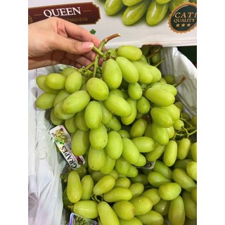 ( HỎA TỐC ) THÙNG NHO XANH TRÁI DÀI 4KG– GIÒN RỤM, NGỌT THANH, ĂN LÀ MÊ