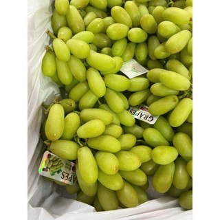 ( HỎA TỐC ) THÙNG NHO XANH TRÁI DÀI 4KG– GIÒN RỤM, NGỌT THANH, ĂN LÀ MÊ