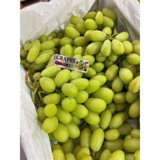 ( HỎA TỐC ) THÙNG NHO XANH TRÁI DÀI 4KG– GIÒN RỤM, NGỌT THANH, ĂN LÀ MÊ