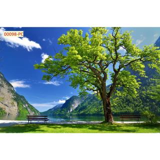 Tranh 3D Dán Tường Hàng Cây Khổ Lớn, dán phòng khách, phòng ăn