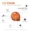 Combo 30 Mặt Nạ Kira Skin Feast – Cà Chua | Trà Xanh | Sakura – Chăm Sóc Da Toàn Diện Tại Nhà
