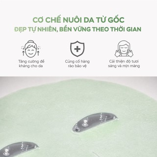 Kira Skin Feast (Bữa tiệc cho làn da) - thanh khiết và khởi tạo làn da đẹp từ gốc ( Combo 5-10 chiếc )