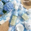 Set Quà Tặng Moyuum Blooming Edition - Gồm Bình Sữa, Ti Giả & Gặm Nướu Cho Bé