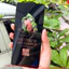 Kính Cường Lực Vivo Y35 Y36 Y39 5G V60 Lite V60 V70-Full Keo 9H-Trong Suốt HD-Chống Trầy-Full Màn KK 3D