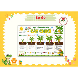 Quá Trình Phát Triển Thực Vật & Vòng Đời Động Vật | Học Liệu Montessori STEM Cho Bé 3-10 Tuổi