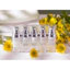 Tinh Chất Vitamin C Lon.G Intensive Vit C Ampoule Serum – Liệu Trình 5 Tuần