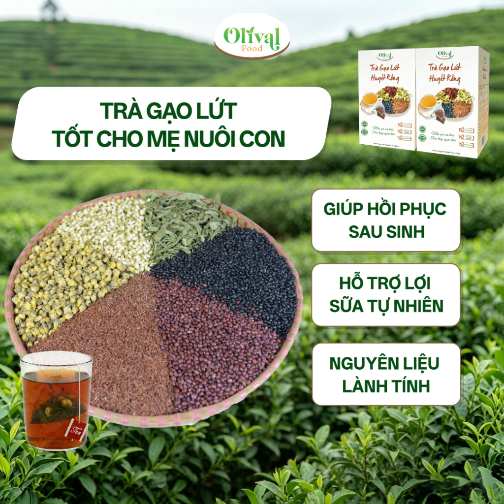 Trà gạo lứt huyết rồng túi lọc Olival Food Hộp 140g - Đẹp dáng, sáng da, ngủ sâu giấc thanh lọc cơ thể mỗi ngày