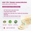Combo Làm Sạch Chống Lão Hóa: Sáp Tẩy Trang 70g, Toner Nước Hoa Hồng Ý Dĩ 500ml , Sữa Rửa Mặt 150g, Mặt Nạ Ngủ 80g,