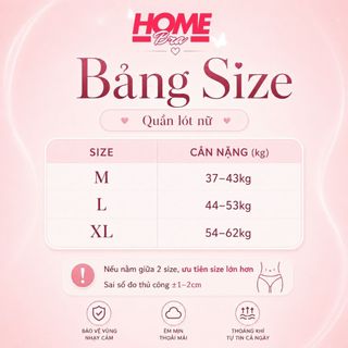 Quần Lót Nữ Boxer Ôm Mông Chất Su Mềm Mịn, Quần Lót Nữ Đáy May 2 Lớp Kháng Khuẩn HOMEBRA L6448