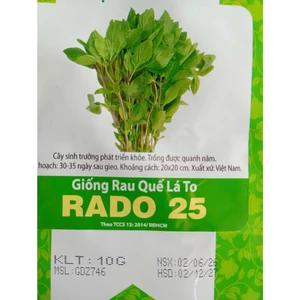 10 gr Hạt giống Rau Quế Lá To Rado 25, Hạt Nảy Mầm Nhanh, Mạnh, Trồng Quanh Năm, Rau Ăn Lá Cty Rạng Đông Nổi Tiếng