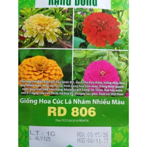 1gr Hat Giống Hoa Cúc Lá Nhám Nhiều Màu RD 806 ( lùn), Nhanh Ra Hoa, Trồng Quanh Năm, Hạt Giống Cty Rạng Đông Nổi Tiếng