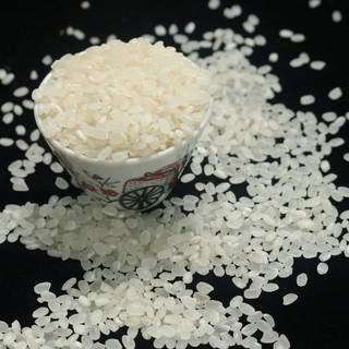 Combo 5 túi Gạo Zen Thuần Nguyên, gạo hạt tròn Japonica, cơm dẻo mềm bóng đẹp, gạo Zen chính hãng, túi 1kg