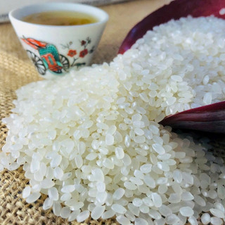 Combo 5 túi Gạo Zen Thuần Nguyên, gạo hạt tròn Japonica, cơm dẻo mềm bóng đẹp, gạo Zen chính hãng, túi 1kg