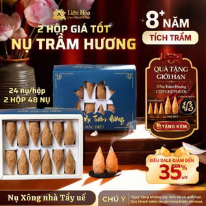 2 Hộp Nụ Trầm Hương Liên Hoa 72 Nụ [MUA 2 TẶNG 2]| Trầm Nụ Xông Nhà, Khử Mùi, Tẩy Uế | Trầm Tự Nhiên