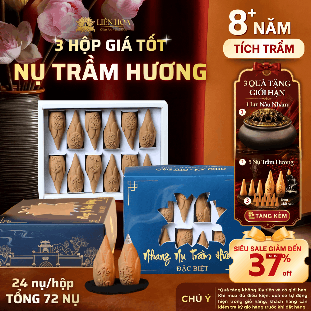 3 Hộp Nụ Trầm Hương Liên Hoa 72 Nụ [MUA 3 TẶNG 3]| Trầm Nụ Xông Nhà, Khử Mùi, Tẩy Uế | Trầm Tự Nhiên
