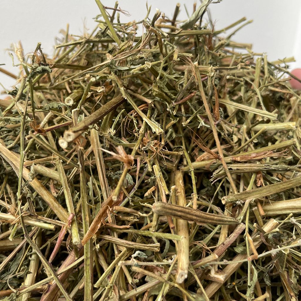 500g Rau Mương Loại 1 Đức Thiện (Khô, Sạch, Thơm) - Hỗ Trợ Đau Loét Dạ Dày, Vi Khuẩn HP, Tiểu Đường