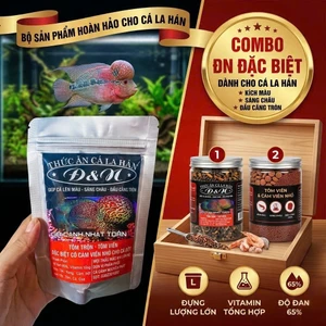THỨC ĂN VIÊN TÔM TRỘN Đ&N LÊN MÀU, ĐẦU, CHÂU CHO CÁ LA HÁN