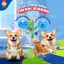Hạt Cho Chó Trưởng Thành SmartHeart Thái Lan