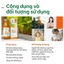 Mật Hoa Dừa Cô Đặc Sokfarm Vị Ngọt Tự Nhiên, Giàu Khoáng Chất, Thay Thế Đường Và Mật Ong Cho Bé