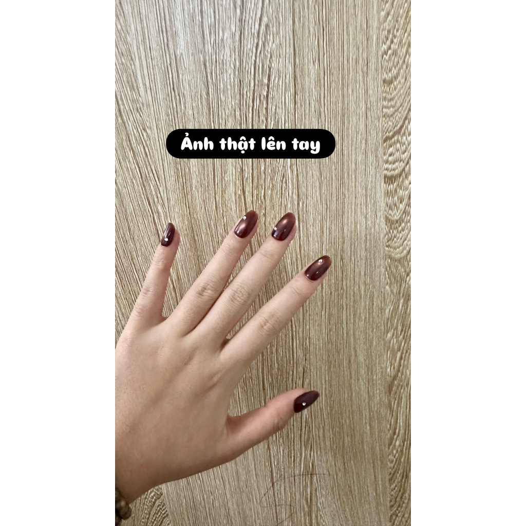 [T02] Nailbox nâu mắt mèo ánh trăng, móng úp form tròn ngắn đơn giản đi học đi làm TẶNG KEO LEUBOX