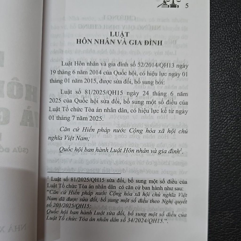 Sách - Luật Hôn nhân và Gia đình (NXB Lao động)