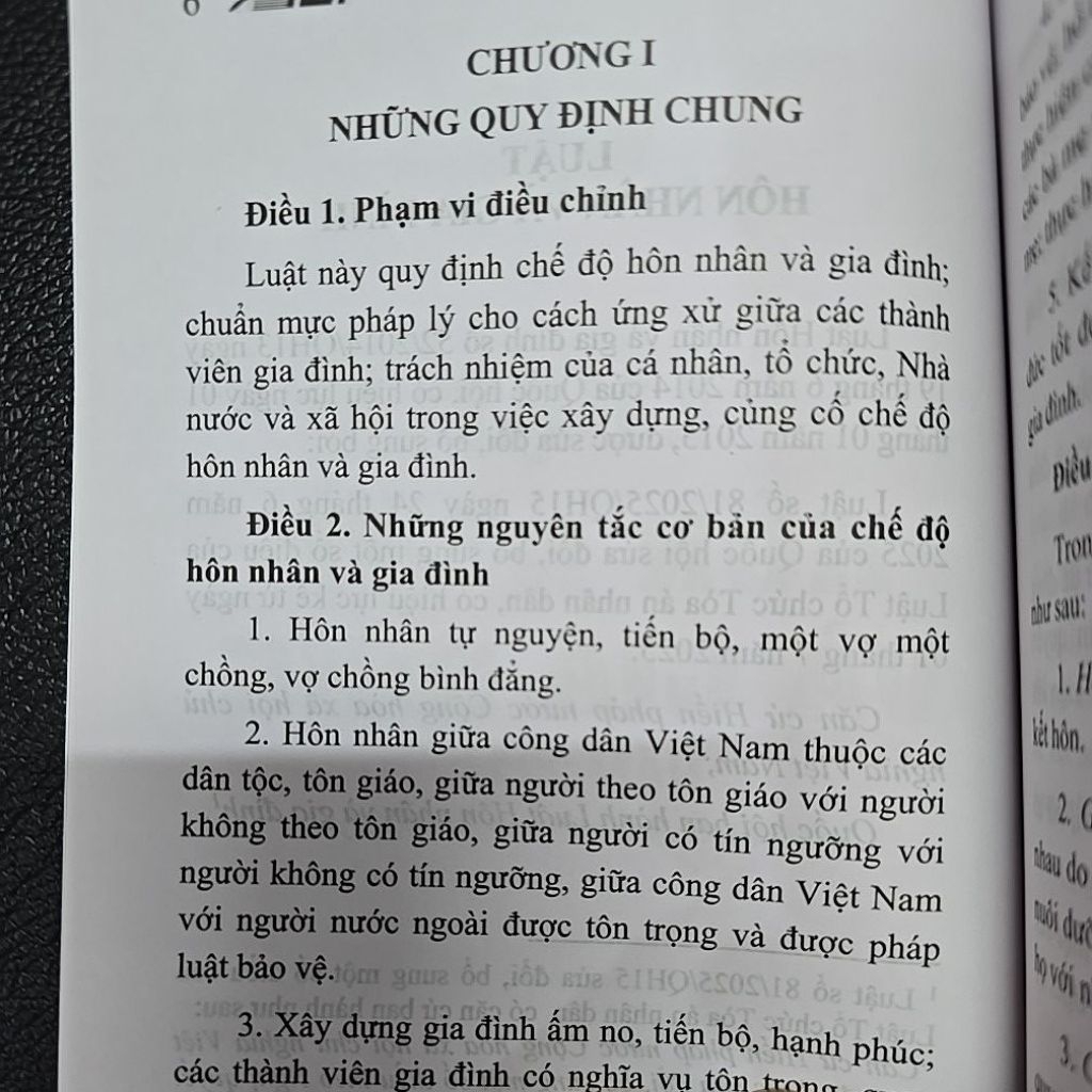 Sách - Luật Hôn nhân và Gia đình (NXB Lao động)