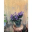 chậu mona lavender 35cm trang trí sân vườn, giao cây đang nụ